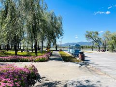 -野鸭湖国家湿地公园