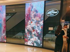 -Mr·Fish鱼鲜生海鲜放题(银泰in99店)