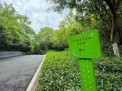 -西湖风景区-江洋畈生态公园