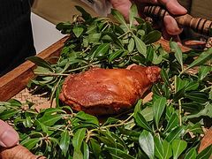 -蝶舍·MAISON PAPILLON