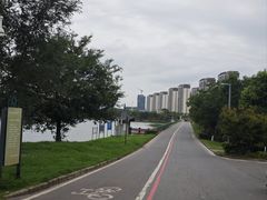 -官亭林海