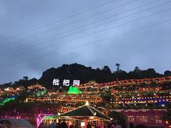 -枇杷园食为鲜火锅(南山店)