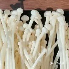Snow White Enoki Mushroom
