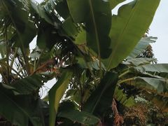 -云溪植物园