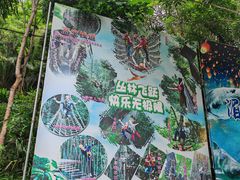 -西双版纳原始森林公园