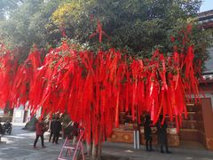 -东钱湖小普陀景区