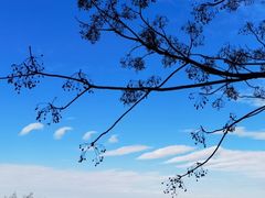 -东钱湖旅游度假区