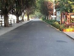 -大湾区中央湿地公园