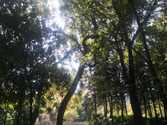 -晓港公园