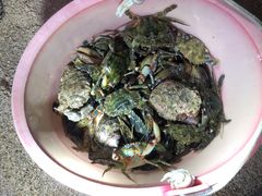 -半山半岛洲际度假酒店-沙滩吧