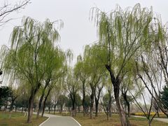 -洨河生态公园