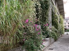 -广州市紫泥堂文化创意园景区