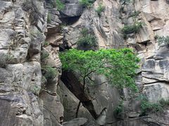 -黑龙潭风景区