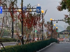 -文武王氏烧饼·无矾油条(西溪路店)