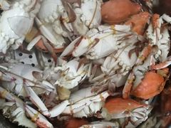 -芦潮港集贸市场