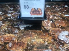 -盒马鲜生(曜一城店)