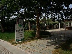 采摘园-北京张裕爱斐堡酒庄