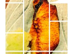 -札幌二条市场 大矶(本店)