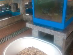 -大螃蟹海鲜餐厅