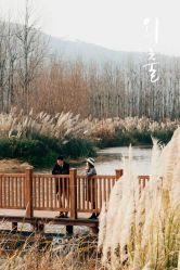 -金夫人婚纱摄影(衡阳店)