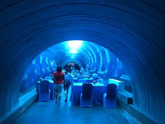 -海棠湾洲际-涛·海底餐厅·美人鱼·自助餐·海底隧道