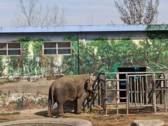 -西安秦岭野生动物园