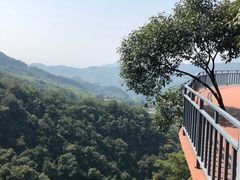 -大余丫山旅游度假区