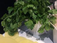 -密友回转自助火锅(中海环宇城店)