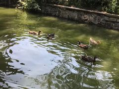 -南翠屏公园