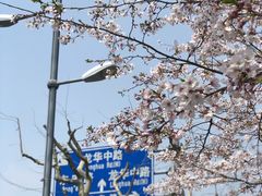 -龙美术馆(西岸馆)