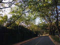 -南国桃园旅游度假区