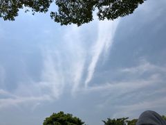 -上海月湖雕塑公园