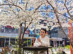 -Ambra Haus琥珀屋精酿餐厅(宝山店)