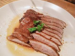 -MR鹅外