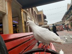 -王府井奥莱临潼小镇(临潼店)