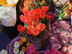 -宝鸡东道花鸟鱼虫市场(吉利花园商场店)
