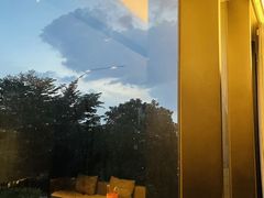 -金汇酒楼(中山东区店)