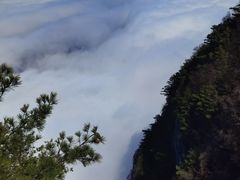 -秦岭天竺山景区