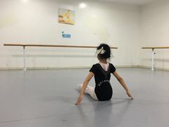 -西安小天鹅艺术团(金花路校区)