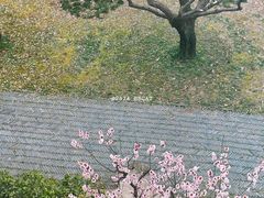 -苏州上方山国家森林公园
