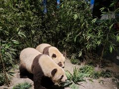 -武汉园博园(武汉自然博物馆)