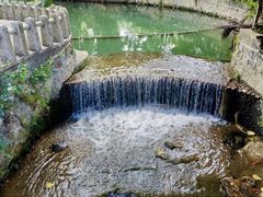 -荔枝公园(福田区)