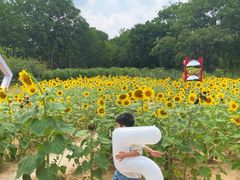 -郑州植物园
