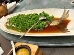 -望乡楼上海菜(日月光店)