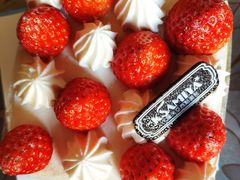 -卡萨米亚动物奶油生日蛋糕(牡丹城店)