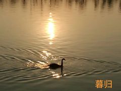 -艾溪湖湿地公园