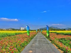 -光明小镇欢乐田园