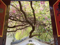 -河北省园博园