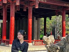 -碑林公园