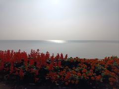 -贡湖湾湿地公园
